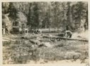 Image of Camp scene
